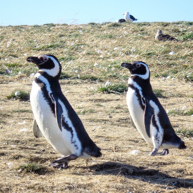 IMG_20180228_191203_880