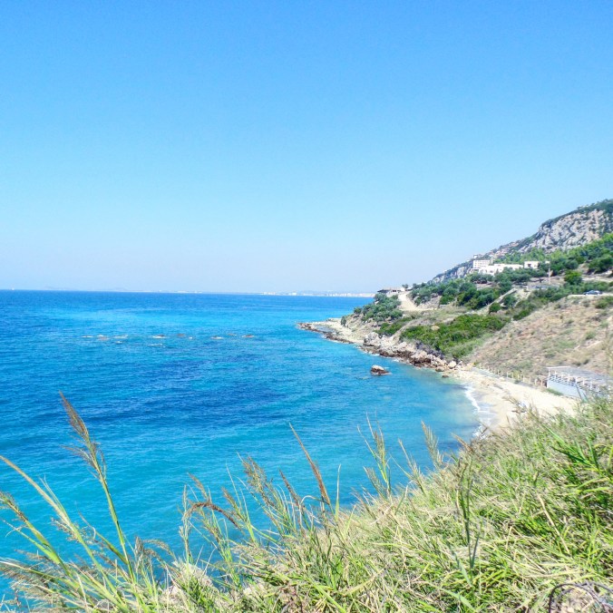 IMG_20181008_234400_389