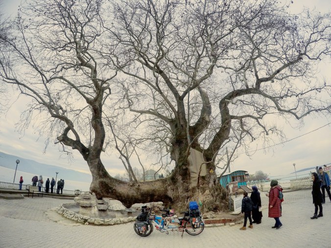 IMG_20190126_211221_828