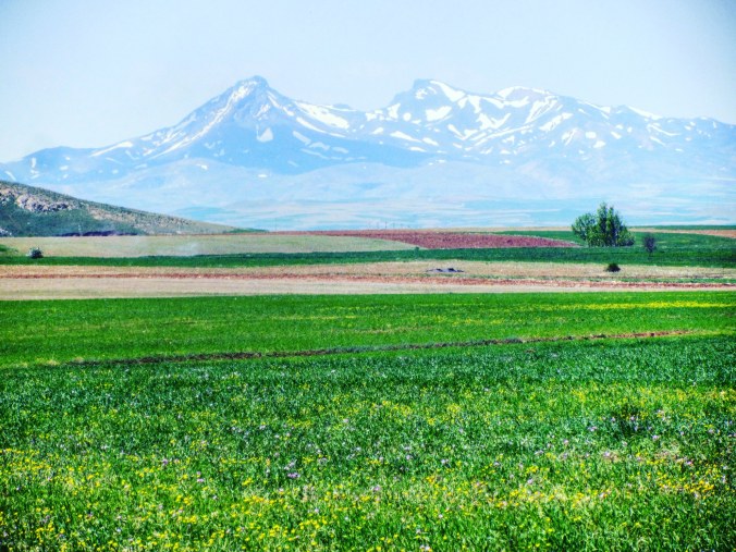 IMG_20190525_141119_578