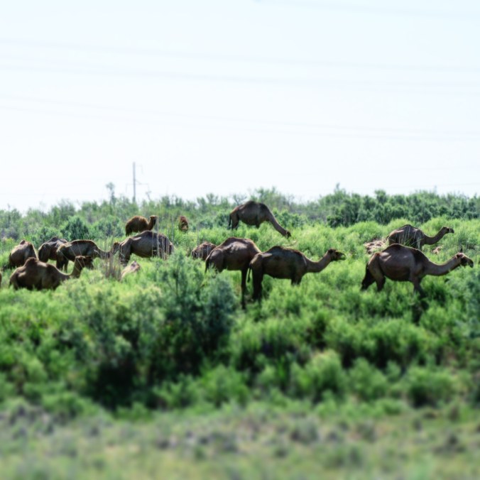 IMG_20190623_143118_478