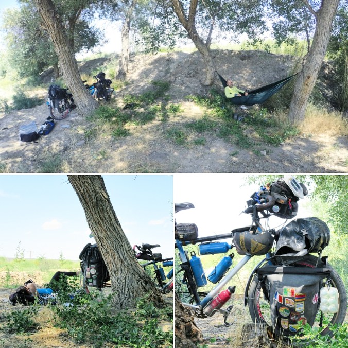 IMG_20190624_195213_299