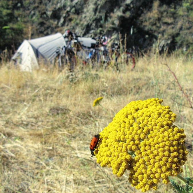 IMG_20190831_221955_495