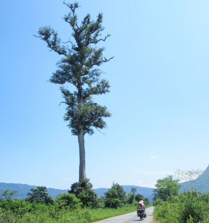 IMG_20191017_211918_838