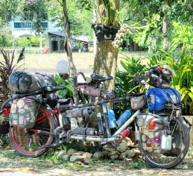 IMG_20191111_194252_900