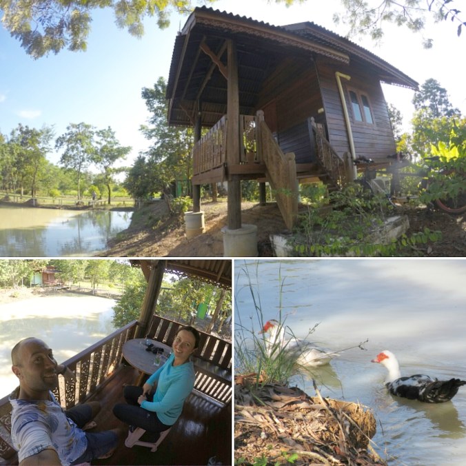 IMG_20191111_212421_240