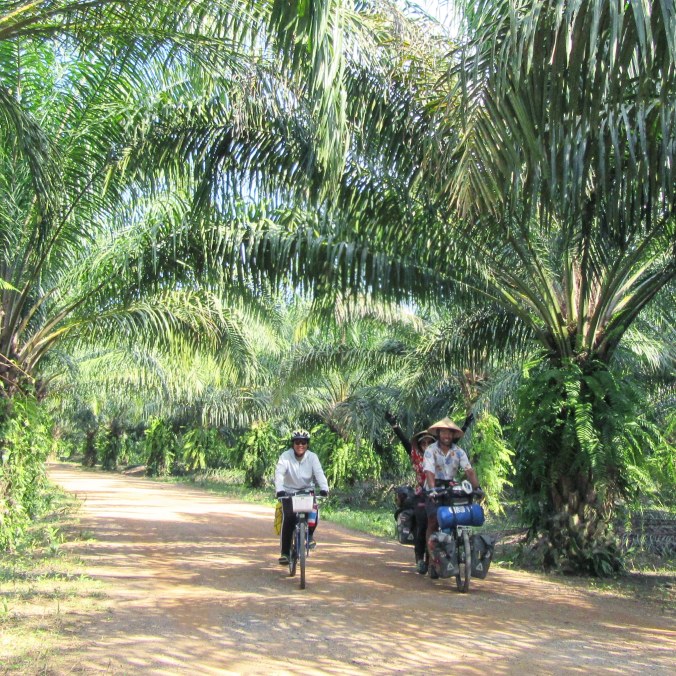 IMG_20191227_021108_651