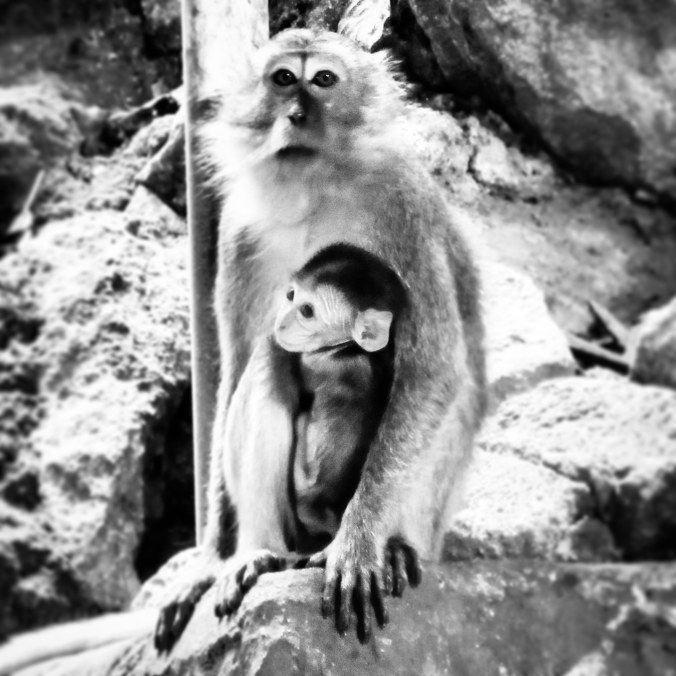 IMG_20200121_160034_504