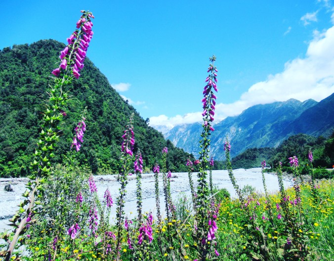 IMG_20200203_103537_075