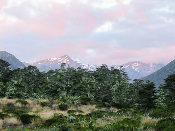 81318850_702208480309830_4447924755074131454_n