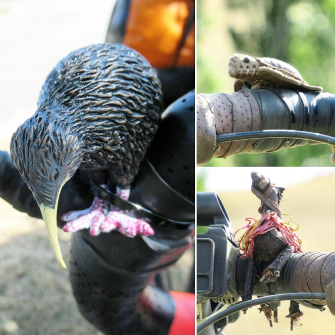 IMG_20200217_120533_489