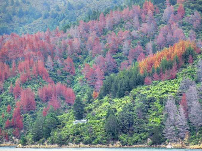 ad3a7391b1e4e7df9ad6b43f6494482b