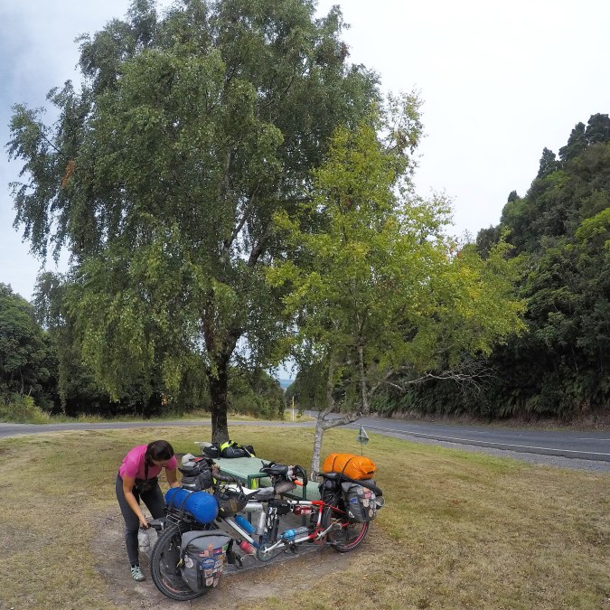 IMG_20200412_150702_676