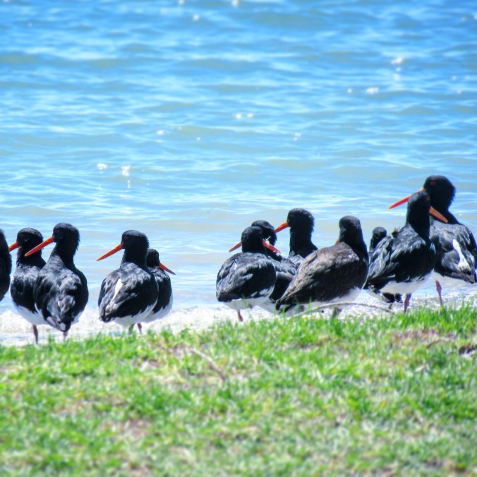 IMG_20200427_125259_252