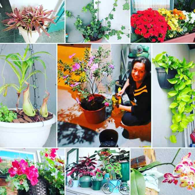 IMG_20200906_205139_599