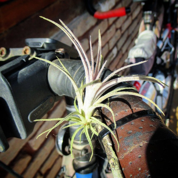 IMG_20200911_154739_310