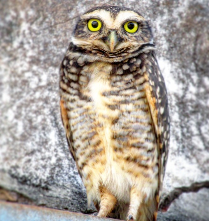 IMG_20200926_222943_780